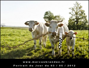 Portrait-du-Jour-2012-05-03
