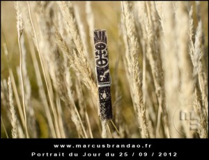 Portrait-du-Jour-2012-09-25