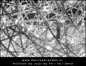 Portrait-du-Jour-2012-12-14