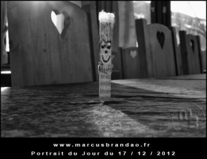 Portrait-du-Jour-2012-12-17