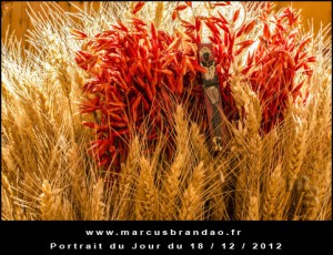 Portrait-du-Jour-2012-12-18