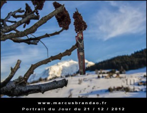 Portrait-du-Jour-2012-12-21