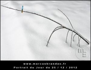 Portrait-du-Jour-2012-12-25