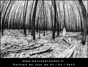 Portrait-du-Jour-2013-01-01