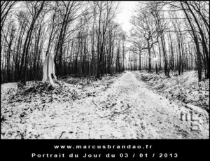 Portrait-du-Jour-2013-01-03