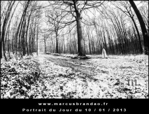 Portrait-du-Jour-2013-01-10