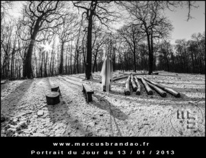 Portrait-du-Jour-2013-01-13