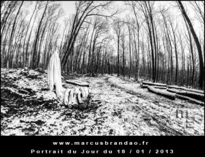 Portrait-du-Jour-2013-01-18