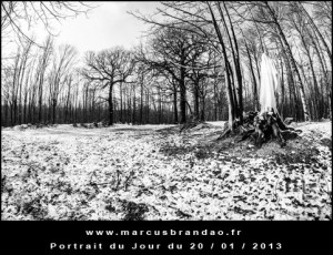 Portrait-du-Jour-2013-01-20
