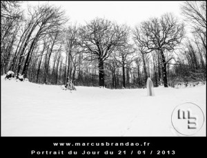 Portrait-du-Jour-2013-01-21