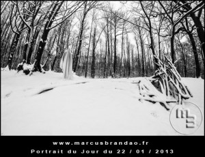 Portrait-du-Jour-2013-01-22