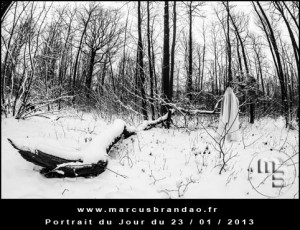 Portrait-du-Jour-2013-01-23