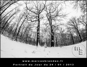Portrait-du-Jour-2013-01-24