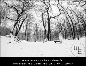 Portrait-du-Jour-2013-01-25