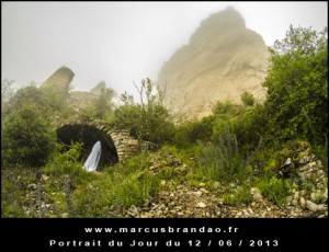 Portrait-du-Jour-2013-06-12