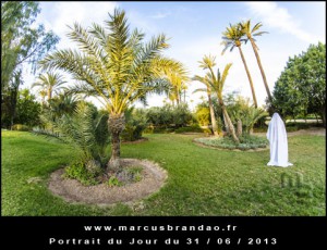 Portrait-du-Jour-2013-06-31