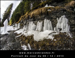 Portrait-du-Jour-2013-12-08