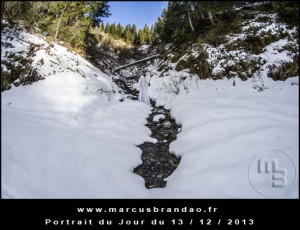 Portrait-du-Jour-2013-12-13