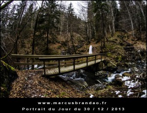 Portrait-du-Jour-2013-12-30