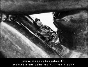 Portrait-du-Jour-2014-01-17