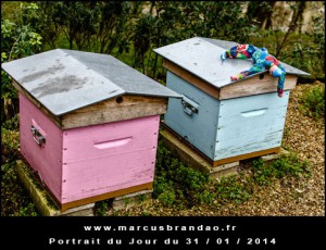 Portrait-du-Jour-2014-01-31