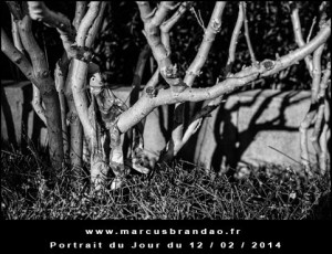 Portrait-du-Jour-2014-02-12