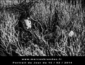 Portrait-du-Jour-2014-02-15