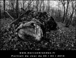 Portrait-du-Jour-2014-03-04