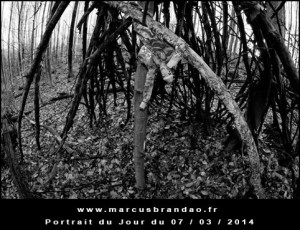 Portrait-du-Jour-2014-03-07