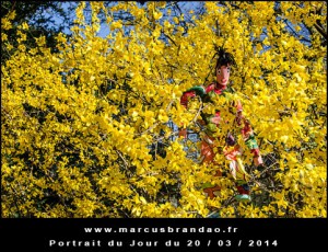Portrait-du-Jour-2014-03-20