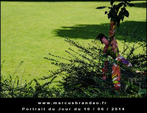 Portrait-du-Jour-2014-06-10