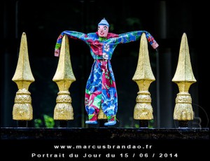 Portrait-du-Jour-2014-06-15