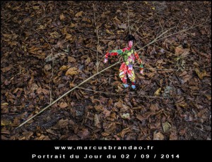 Portrait-du-Jour-2014-09-02