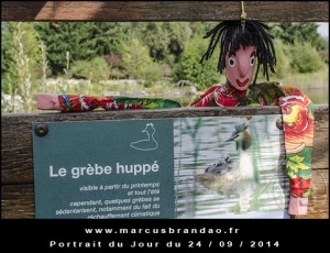 Portrait-du-Jour-2014-09-24