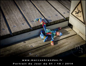 Portrait-du-Jour-2014-10-01