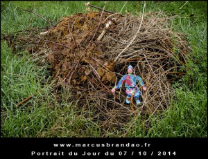 Portrait-du-Jour-2014-10-07