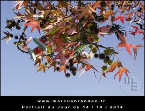Portrait-du-Jour-2014-10-14