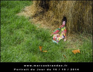 Portrait-du-Jour-2014-10-16
