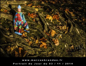 Portrait-du-Jour-2014-11-03