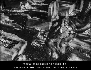 Portrait-du-Jour-2014-11-05