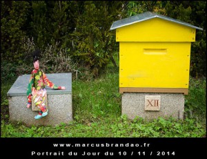 Portrait-du-Jour-2014-11-10