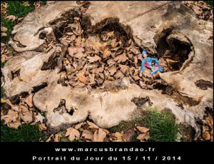 Portrait-du-Jour-2014-11-15