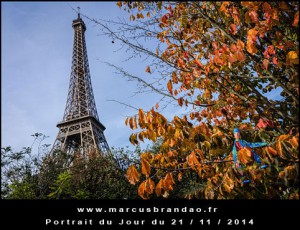 Portrait-du-Jour-2014-11-21