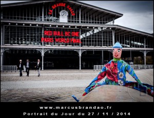 Portrait-du-Jour-2014-11-27