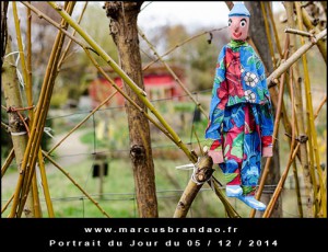 Portrait-du-Jour-2014-12-05