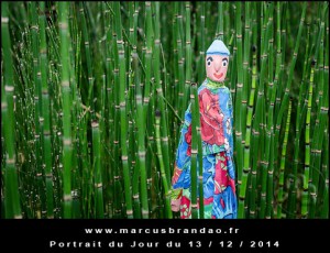 Portrait-du-Jour-2014-12-13