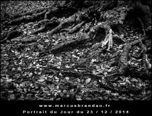 Portrait-du-Jour-2014-12-23