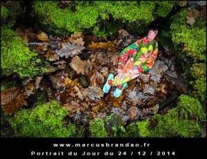 Portrait-du-Jour-2014-12-24