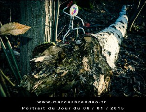 Portrait-du-Jour-2015-01-06