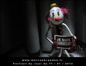 Portrait-du-Jour-2015-01-11